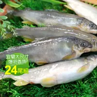 在飛比找momo購物網優惠-【優鮮配】宜蘭大尺寸爆卵香魚24尾組(12尾/盒 共2盒)