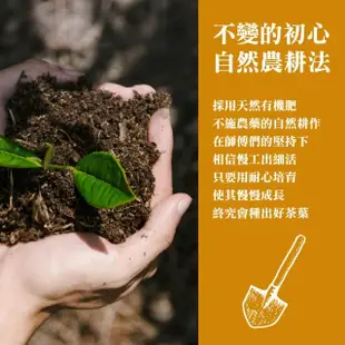 【名池茶業】手採冷霜福壽梨山高冷茶葉150gx6包(共1.5斤)