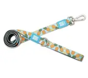 Max & Molly Short Dog Leash - Style: Sweet Pineapple - Size Medium