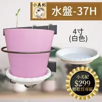 在飛比找momo購物網優惠-【小美紀】4寸水盤-白色-37H(花盆底盤 花器水盤 種植用