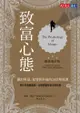 致富心態（暢銷增訂版）：關於財富、貪婪與幸福的20堂理財課: The Psychology Of Money: Tim... - Ebook