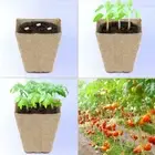 10 Cells Plant Starter Tray Biodegradable Nursery Pot Garden Seedling beXws