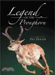 Legend of the Pronghorn