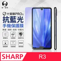 在飛比找PChome24h購物優惠-【O-ONE】Sharp R3 .全膠抗藍光螢幕保護貼 SG