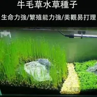 在飛比找蝦皮購物優惠-♧希望園藝館♧水草種子水族造景大小對葉魚缸前景草爬地矮珍珠牛