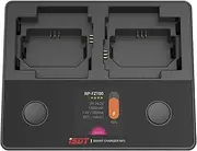 LIMETA CR2 Camera Battery Charger,NP-FW50 NP-FZ100 NP-BX1 Smart Charger with LCD Disply,Smart Two-way Fast Charging Station for Sony Batteries Cyber-Shot DSC-RX100,DSC-RX100 II, HDR-CX405 FDR-X3000