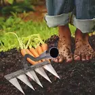 Weeding Hoe Rake Sharp Loosening Soil Tool Tooth Nail Harrow Farm Tools (5tooth)