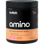 New Switch Nutrition Amino EAA & BCAA Electrolyte Recovery Matrix Raspberry 210g