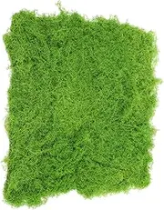 Gatuida Micro Landscape Fake Moss Turf Garden Prop for DIY Landscaping Realistic Faux Greenery for Potted Plants Bonsai Fish Tanks and Decor Light Green