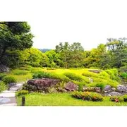 Save 30.00%! Kyoto: Serene Garden Philosophy at Murin-an with Matcha Tea
