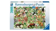 Ravensburger - Jungle Puzzle 2000 Piece