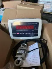 100 LB CALIBRATED CRANE SCALE TENSION/ COMPRESSION