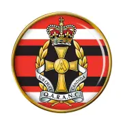 Queen Alexandra's Royal Army Nursing Corps, British Army Pin Badge