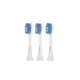 現貨‼️Solac SRM-T5 電動牙刷頭 牙刷 柔軟型/標準型 專用刷頭 | 3入組 原廠公司貨