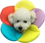 Hotumn Pet E-Collar After Surgery Elizabethan Collars Breathable Recovery Dog Cone Dogs Training Cone Collar Soft Edge for Cats Small Dogs Easy to Clean (Small, Multicolour)