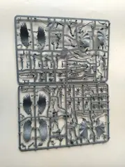 Warhammer 40k Drukhari Scourges (A1)
