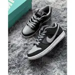 NIKE DUNK LOW SB 板鞋 休閒鞋 運動鞋 慢跑鞋 耐吉 女鞋 男鞋 平底鞋 BQ6817 007