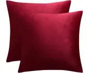 Decorative Lumbar Velvet Throw Pillow Covers ,Pack of 2 Luxury Soft Solid Cushion Cases for Sofa Couch 16"x16", Set of 2-Burgundy
