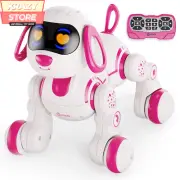 Interactive Robot Dog Toy Remote Control Lights Sounds For Ages 3-8
