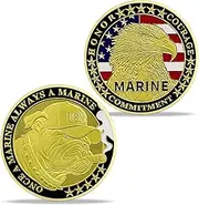US Marine Devil Dog Challenge Coin Military Coins Gift for Marines