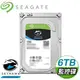 Seagate 希捷 監控鷹 SkyHawk 6TB 5400轉 256MB SATA3 Surveillance硬碟(ST6000VX001-3Y)
