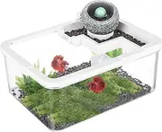 Small Aquarium - Landscape Tank for Turtles | Ancient LED Aquariums with USB Pump for Betta Hospital Bedroom Shrimp Aquaponics Reef Bookshelf Desktop Display