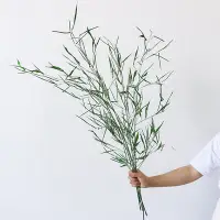在飛比找Yahoo!奇摩拍賣優惠-天然竹子永生花真花禪意氛圍感干花插花裝飾擺件無需水養拍攝道具