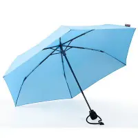 在飛比找Yahoo!奇摩拍賣優惠-德國[EuroSCHIRM] 全世界最強雨傘 LIGHT T