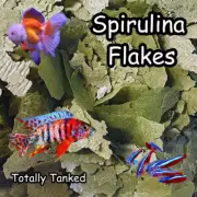 TANKED Thin Small Spirulina Vege Flakes Tank Pond Fish Food Bulk 4kg.