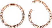 [365 Sleepers] Titanium Implant Grade 16G 6mm - 10mm Gem Hinged Segment Ring Helix Tragus Septum Clicker Nose Lip Hoop Earring Body Piercing Jewellery