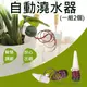 鼎鴻@自動澆水器(一組2個) 植物花卉滲水器 懶人澆花器 施肥器 滴灌器 引水盆栽 免電自動灑水器