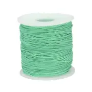 Elastic Cord Stretchy String 0.8mm 109 Yards Light Green for Crafts