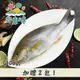 (5包組)台東太平洋黑潮-黃雞魚(整尾三去；300g/包)-台東味