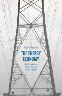 在飛比找博客來優惠-The Energy Economy: Practical 