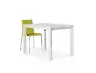 Extendable Table Rectangular White Ash Modern Design Studio Kitchen