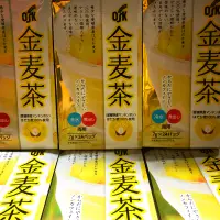 在飛比找蝦皮購物優惠-日本🇯🇵 OSK 金麥茶 24入 2024.08.28 麥茶