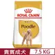 ROYAL CANIN法國皇家-貴賓成犬 PDA 7.5KG