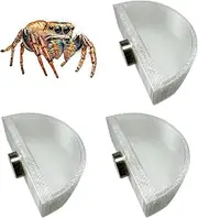 3 PCS Jumping Spider Feeding Dish With 1PC Tweezers, Tiny Food Dishes Water Dish for Jumping Spider, Tarantula and Other Small Pets, Half Round