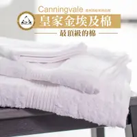 在飛比找蝦皮商城優惠-【Canningvale】澳洲家用品牌 皇家金埃及棉舒適飯店