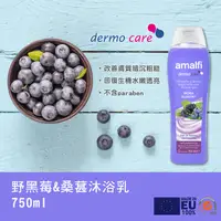 在飛比找PChome24h購物優惠-【CLIVEN香草森林】野黑莓&桑葚沐浴乳750ml