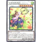 遊戲王 1107 BACH-JP042 伊呂波紅葉 普卡