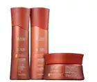 Copper Effect Color Enhancement Nutri-protective Hazelnut Hair Kit 3 Prod AMEND