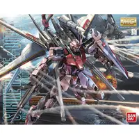 在飛比找蝦皮商城優惠-【BANDAI】組裝模型 MG 1/100 MBF-02+E