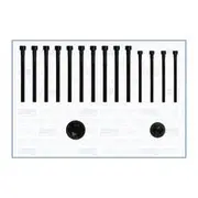 Austral Cylinder Head Bolt Set - 81040000