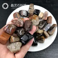 在飛比找蝦皮購物優惠-天然木化石碎石樹化玉原石小顆粒供佛魚缸花盆鋪底裝飾造景小石子