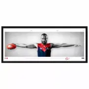 MAX GAWN MELBOURNE DEMONS SIGNED FRAMED POSTER PETRACCA OLIVER AFL MEMORABILIA