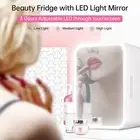 Aoresac Mini Fridge 4L Capacity Portable Cooler And Warmer Skincare Fridge 1 AU