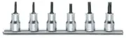 Beta Tools 910TX/SB 6pc 3/8" Sq Dr Torx Bit Socket Driver Rail Set 009100530