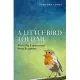 A Little Bird Told Me: Everyday Expressions from Scripture