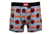 Thor Worthy Men's Underwear Boxer Briefs